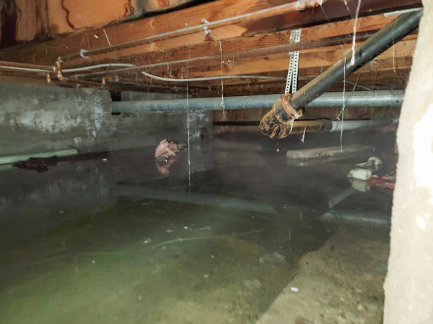 Best 24-hour water damage restoration  in Exeter, CA