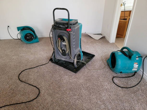 Best Water damage restoration near me  in Exeter, CA