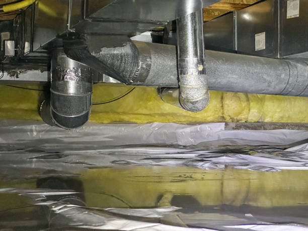 Best Flood restoration services  in Exeter, CA