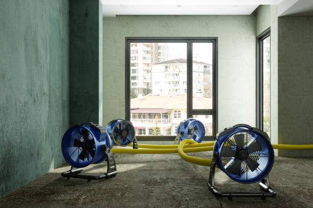 Professional Water damage restoration in Exeter, CA