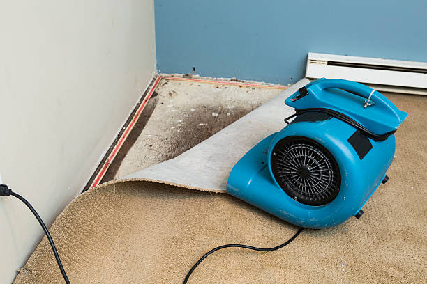 Best Residential water damage restoration  in Exeter, CA
